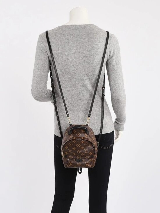 Louis Vuitton Monogram Canvas Palm Springs Mini Backpack Bag main image 11